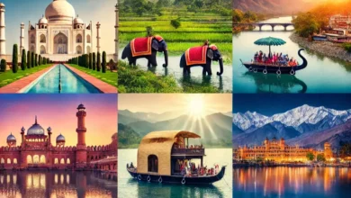 Top 10 must-visit destinations in India 2025 - Taj Mahal, Jaipur, Kerala, Ladakh, Mysore, Kolkata